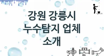 강원 강릉시 누수탐지 업체안내 추천 3, 탐지 수리시공업체