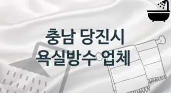 충남 당진시 욕실방수 업체 추천 2 전문 시공 관리업체