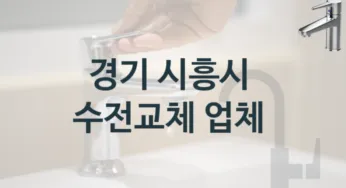 경기 시흥시에서 수도꼭지 교체를 확실하게 작업하는 업체, 수전교체 수리견적