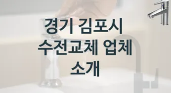 경기 김포시에서 수도꼭지 교체를 잘하는 업체, 수전교체 비용