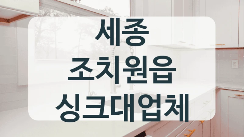 세종 조치원읍 싱크대업체
